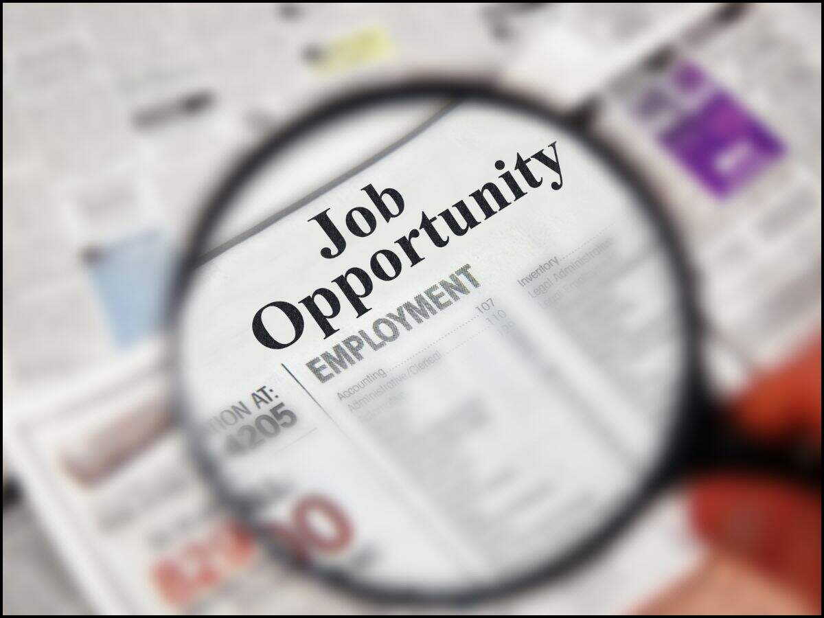 haryana job 
