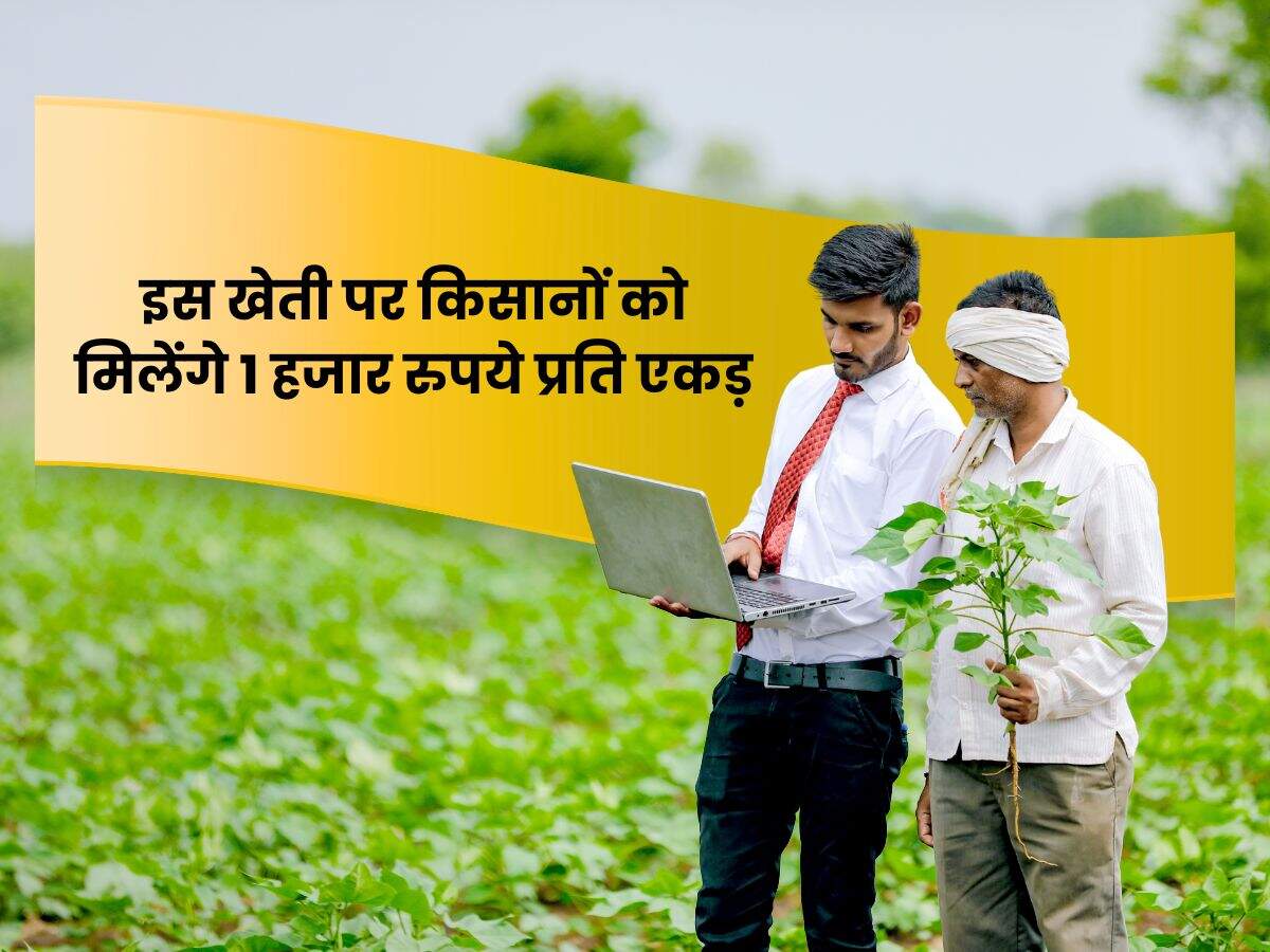 इस खेती पर किसानों को मिलेंगे 1 हजार रुपये प्रति एकड़