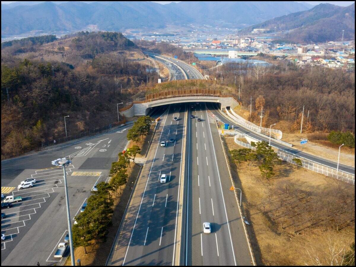 Expressway