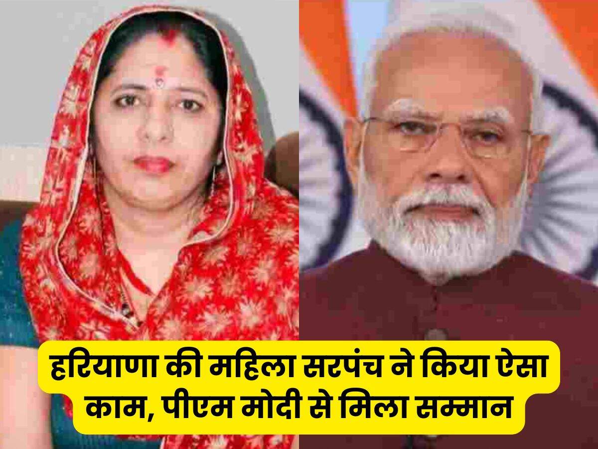 haryana news