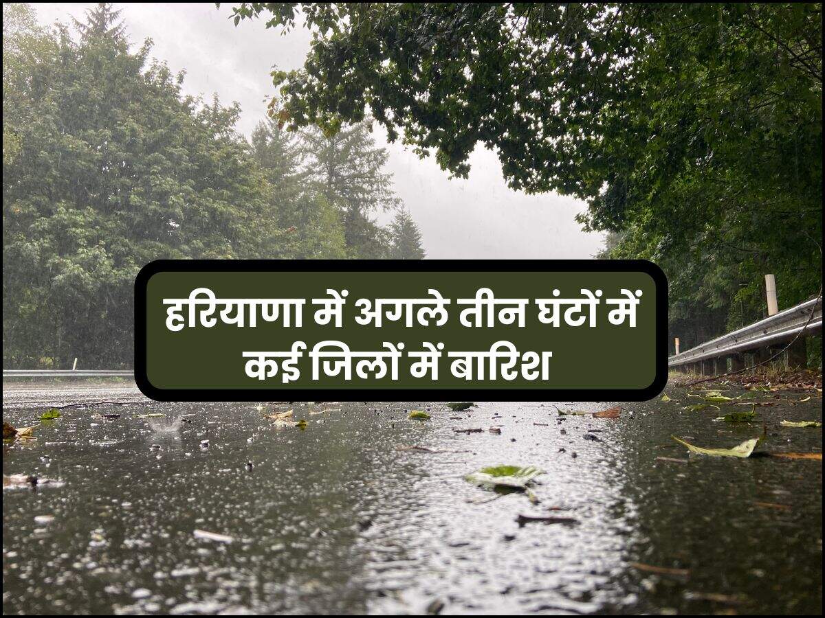 हरियाणा में अगले तीन घंटों में कई जिलों में बारिश 