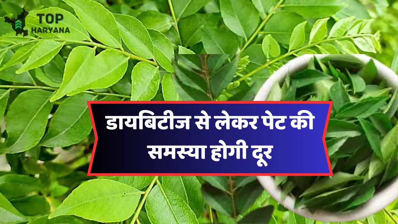 Health Tips: खाली पेट खा लिया यह खास पत्ता तो, डायबिटीज से लेकर पेट की समस्या होगी दूर