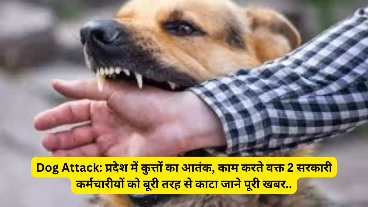 Dog Attack: प्रदेश में कुत्तों का आतंक, काम करते वक्त 2 सरकारी कर्मचारीयों को बूरी तरह से काटा जाने पूरी खबर..