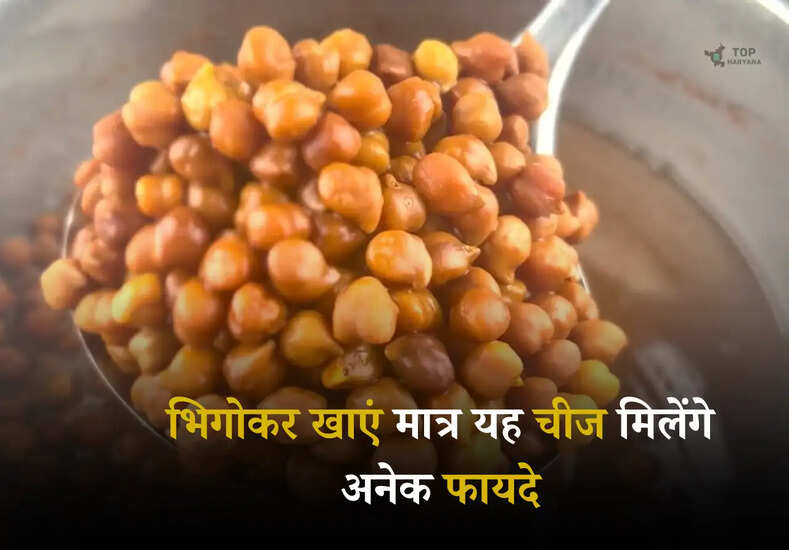 Healthy Diet: भिगोकर खाएं मात्र यह चीज मिलेंगे अनेक फायदे, शरीर की सेहत में होगा सुधार