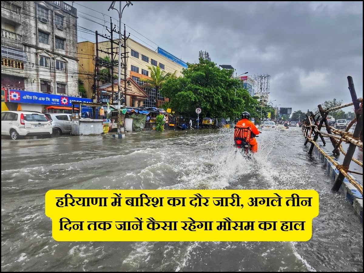 Today Haryana Weather: हरियाणा में बारिश का दौर जारी, अगले तीन दिन तक जानें कैसा रहेगा मौसम का हाल