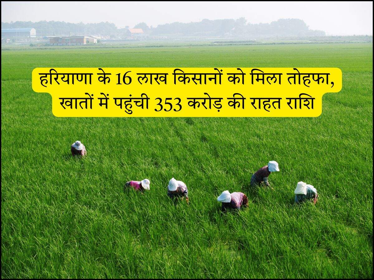 हरियाणा के 16 लाख किसानों को मिला तोहफा, खातों में पहुंची 353 करोड़ की राहत राशि