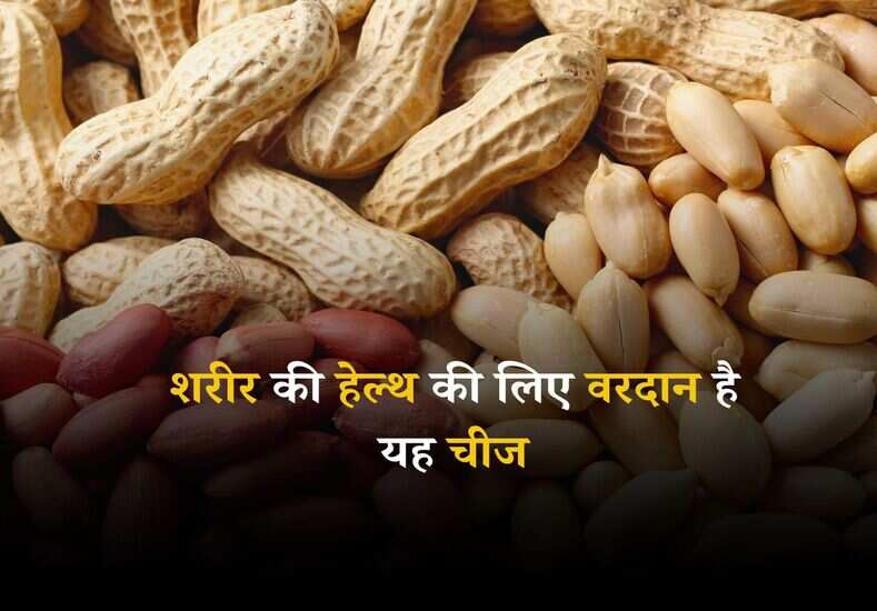 Peanuts Benefits: शरीर की हेल्थ की लिए वरदान है यह चीज, खाली पेट करें सेवन और पाएं अच्छा स्वास्थ्य 