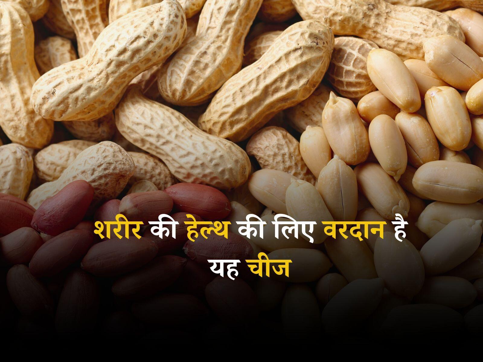 Peanuts Benefits: शरीर की हेल्थ की लिए वरदान है यह चीज, खाली पेट करें सेवन और पाएं अच्छा स्वास्थ्य