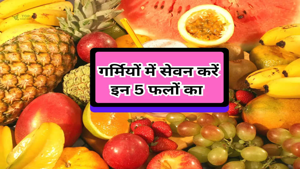 Summer Fruits: गर्मियों में सेवन करें इन 5 फलों का, शरीर में कभी नहीं होगी पानी की कमी 