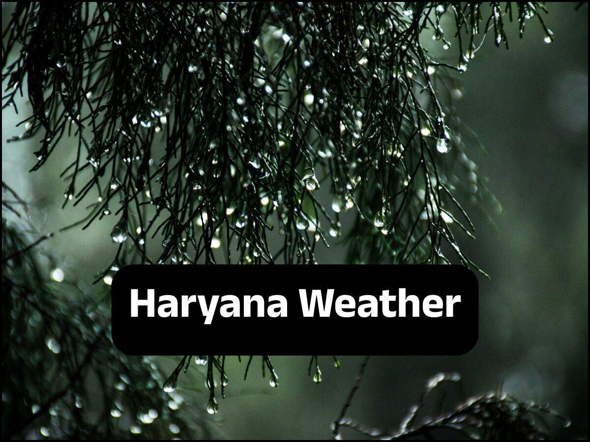 Haryana Weather