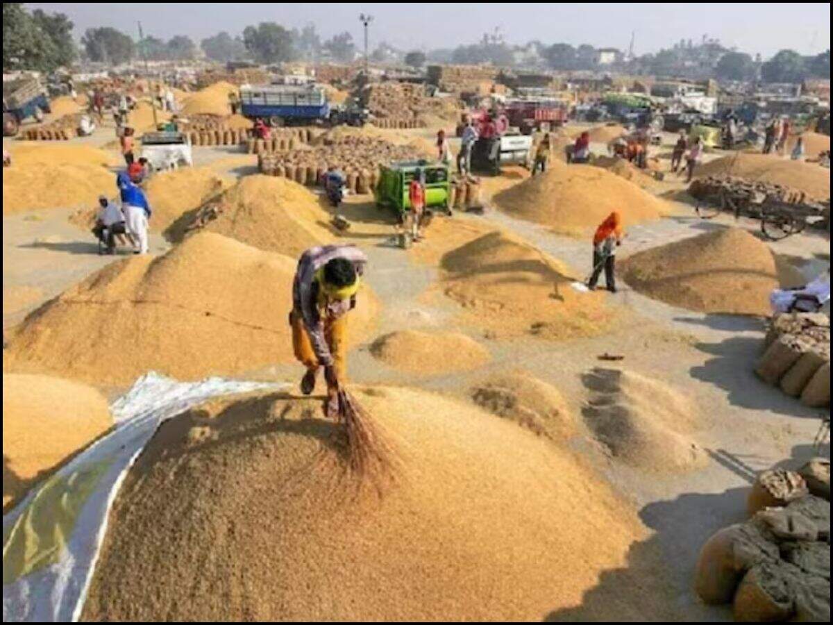 खरीफ फसलों
