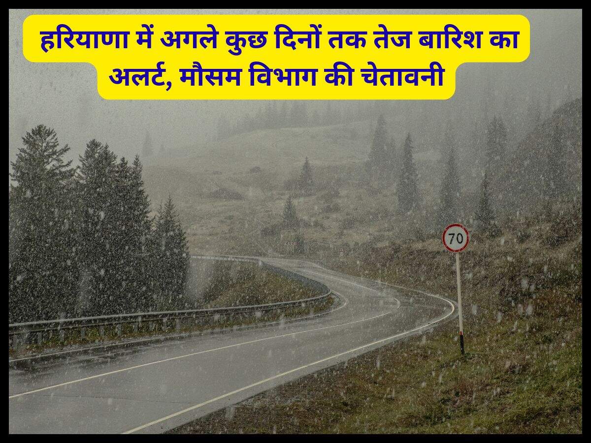 haryana news