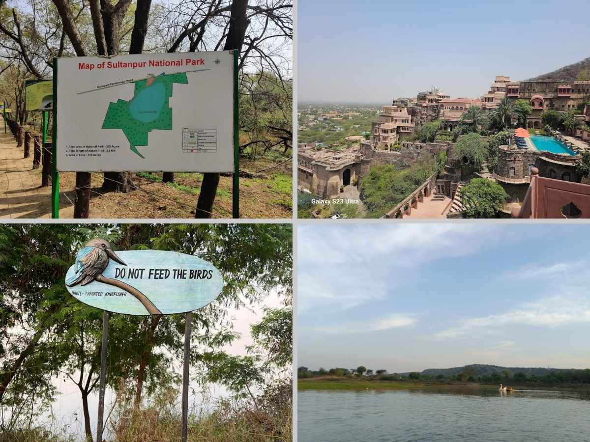 ओखला बर्ड सैंक्चुअरी