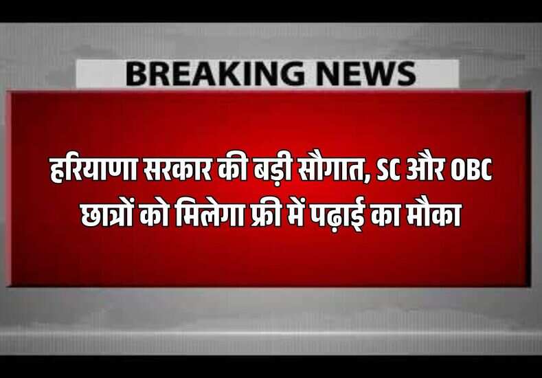 हरियाणा सरकार की बड़ी सौगात, SC और OBC छात्रों को मिलेगा फ्री में इन कोर्स में पढ़ाई का मौका