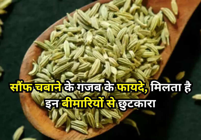 Fennel seeds benefits: सौंफ चबाने के गजब के फायदे, मिलता है इन बीमारियों से छुटकारा