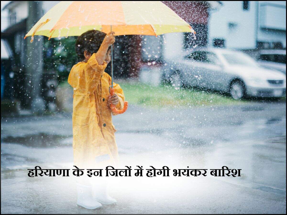 top haryana news, top haryana, Haryana News, haryana news in hindi,HARYANA HINDI NEWS , HARYANA HINDI NEWS , HARYANA KI Breaking News ,HARYANA
