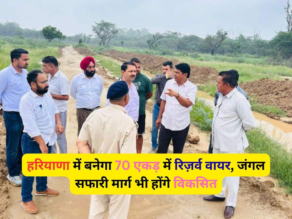 Haryana News: हरियाणा में बनेगा 70 एकड़ में रिज़र्व वायर, जंगल सफारी मार्ग भी होंगे विकसित