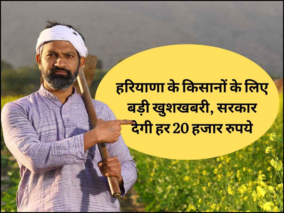 haryana news, hindi news, haryana hindi news, top haryana news,