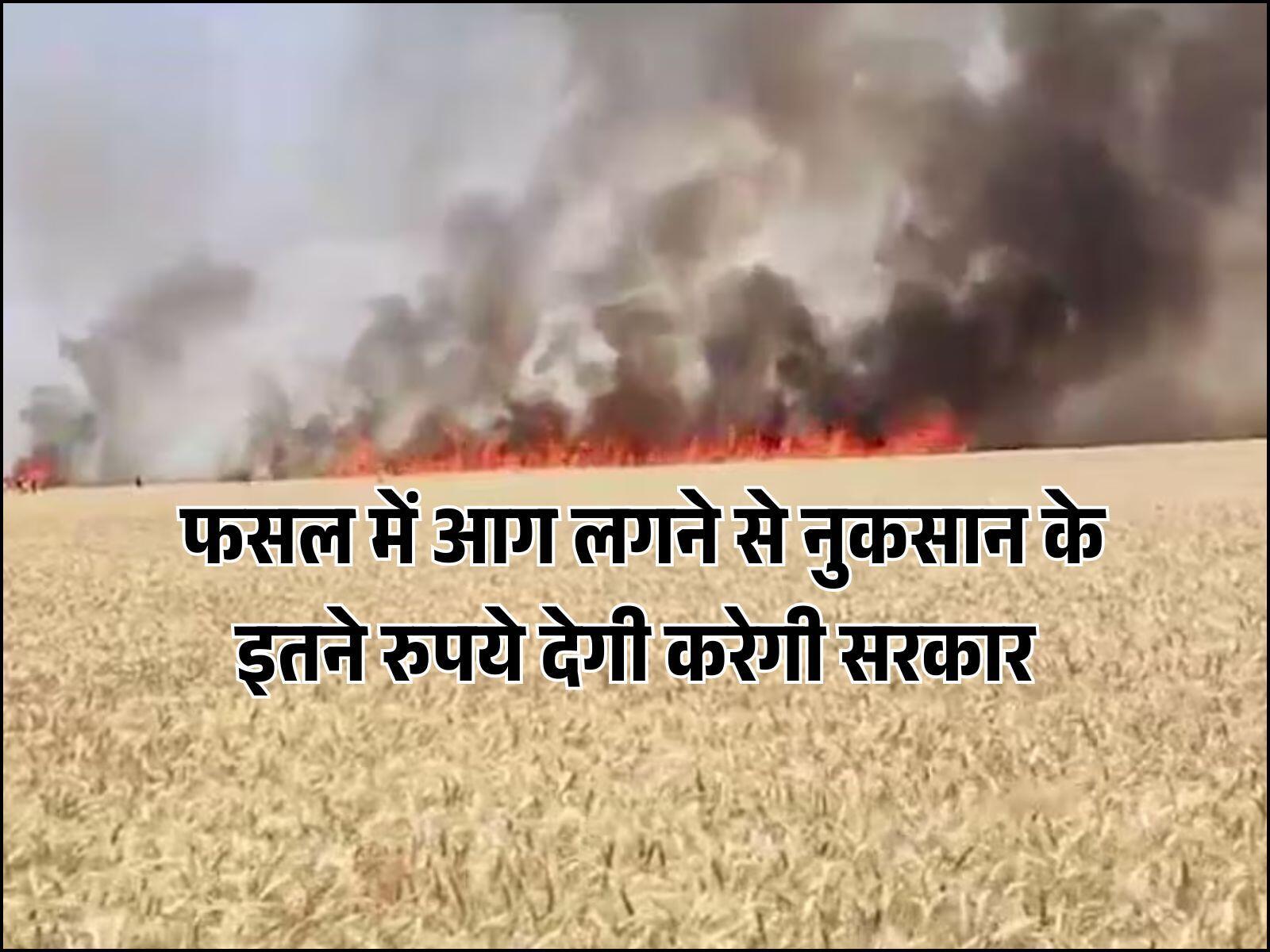  फसल में आग लगने से नुकसान के इतने रुपये देगी करेगी सरकार
