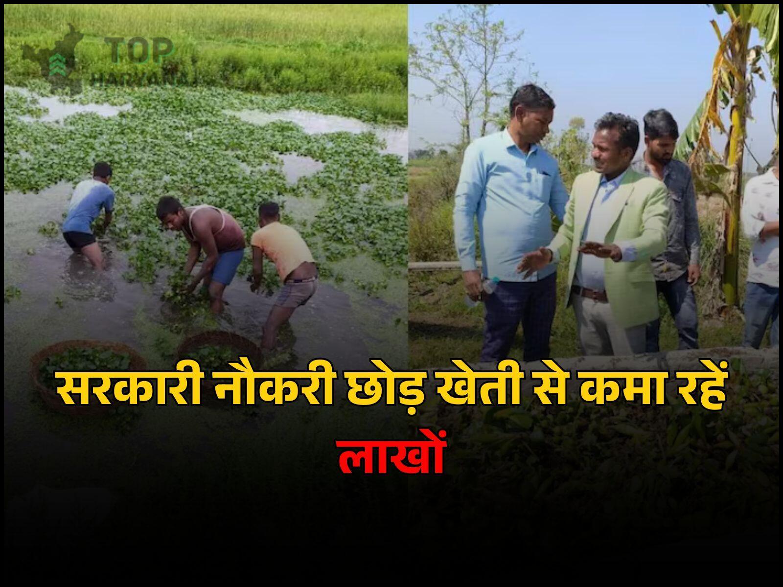 Success Story: सरकारी नौकरी छोड़कर खेती से कमा रहे लाखों, जानिए, इस किसान की रौचक कहानी...