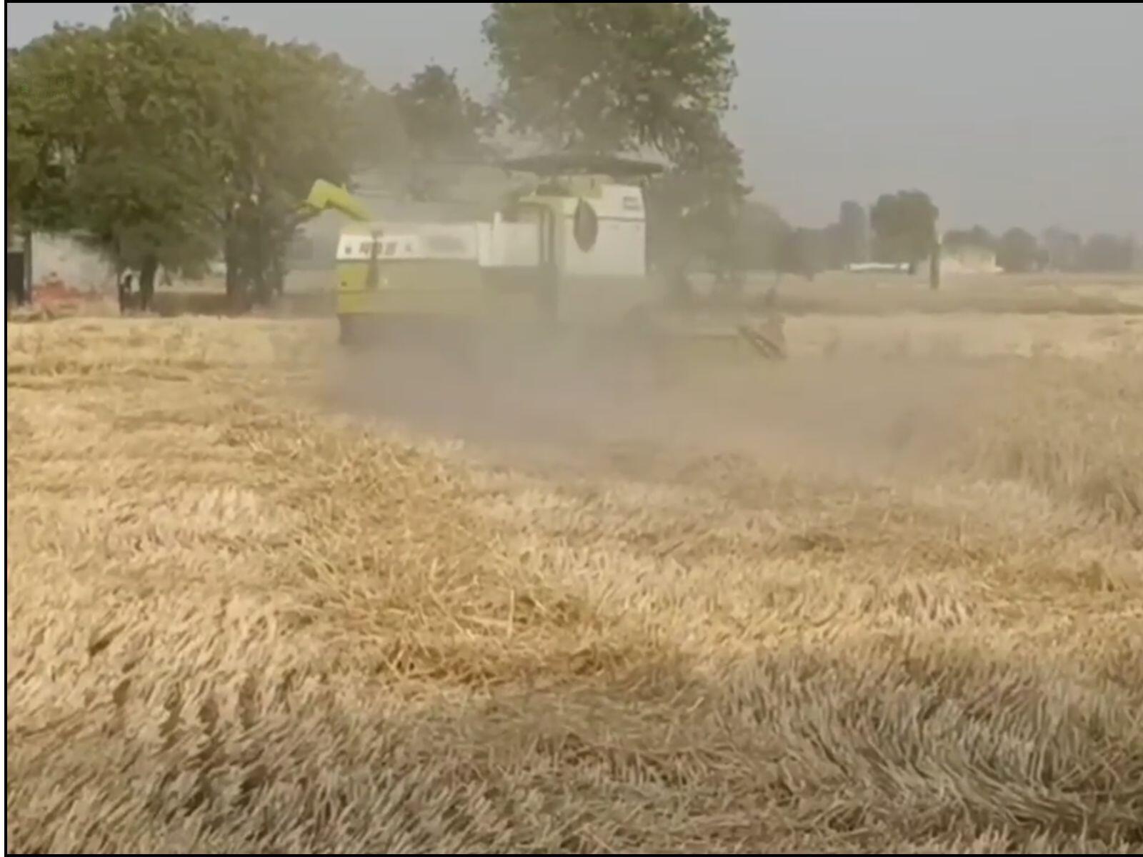 Wheat Harvesting , गेहूं की कटाई , Modern Farming , आधुनिक खेती , Machine Harvesting , मशीन कटाई , Faridabad Agriculture , फरीदाबाद कृषि"