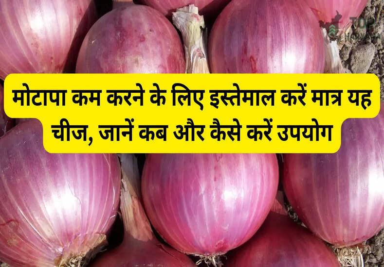 ​Onion Benefits For Weight Loss: मोटापा कम करने के लिए इस्तेमाल करें मात्र यह चीज, जानें कब और कैसे करें उपयोग