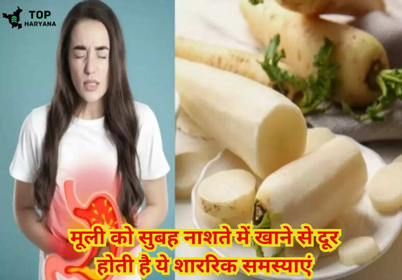 मूली को सुबह नाशते में खाने से दूर होती है ये शाररिक समस्याएं