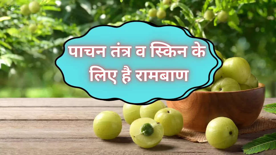 Healthy Food: पाचन तंत्र व स्किन के लिए है रामबाण, रोजाना बस एक बार खाए यह हरा फल 