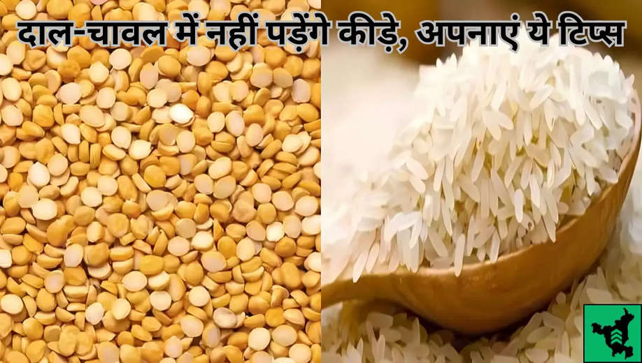 Kitchen Tips: दाल-चावल में नहीं पड़ेंगे कीड़े, अपनाएं ये टिप्स