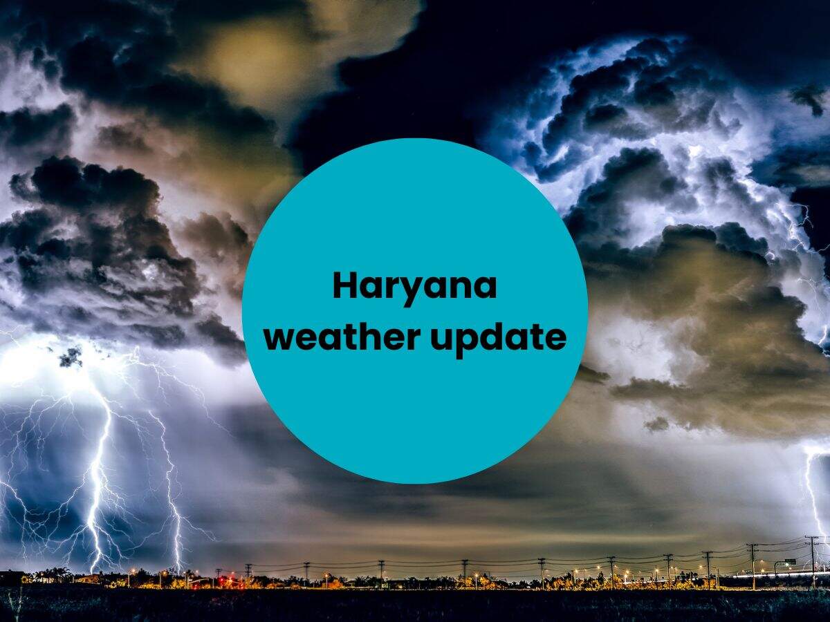 Haryana weather update