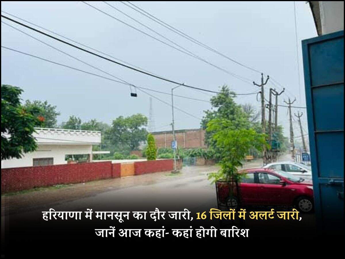 haryana today weather