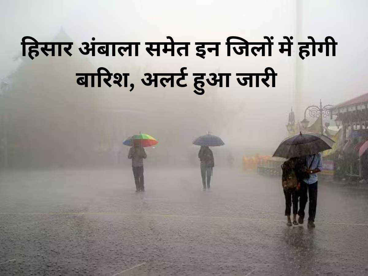 हिसार अंबाला समेत इन जिलों में होगी बारिश, अलर्ट हुआ जारी