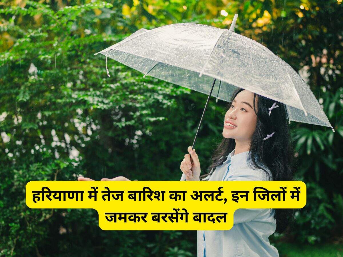 Haryana Weather: हरियाणा में तेज बारिश का अलर्ट, इन जिलों में जमकर बरसेंगे बादल