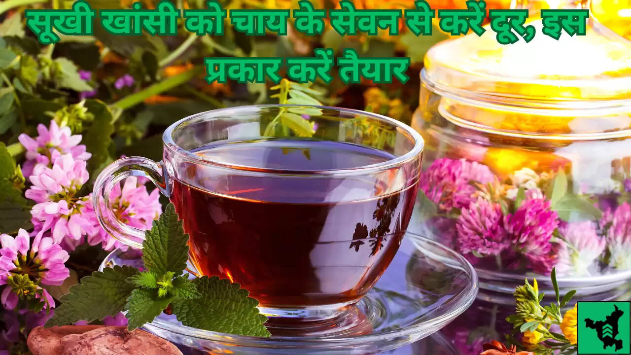 Health Tips: सूखी खांसी को चाय के सेवन से करें दूर, इस प्रकार करें तैयार