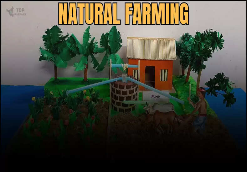 AgricultureNews: नेचुरल फार्मिंग को बढ़ावा देने के लिए यहां पर खुलेगी नई यूनिट...