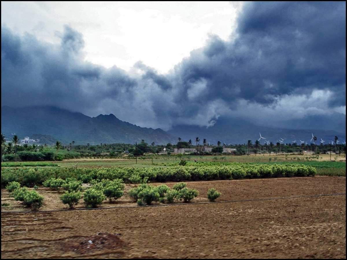 मानसून