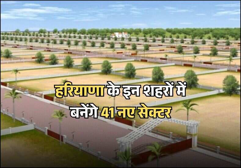 Haryana news: हरियाणा के इन शहरों में बनेंगे 41 नए सेक्टर, जानिए कहां और कैसे मिलेंगे रिहायशी प्लॉट