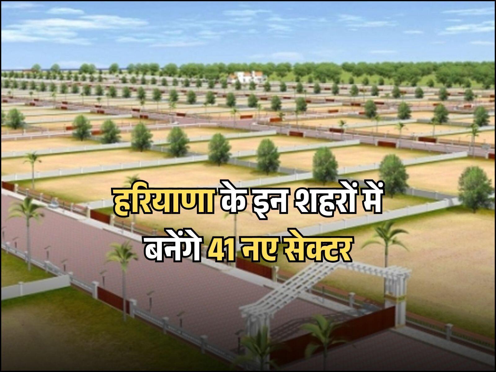 Haryana news: हरियाणा के इन शहरों में बनेंगे 41 नए सेक्टर, जानिए कहां और कैसे मिलेंगे रिहायशी प्लॉट