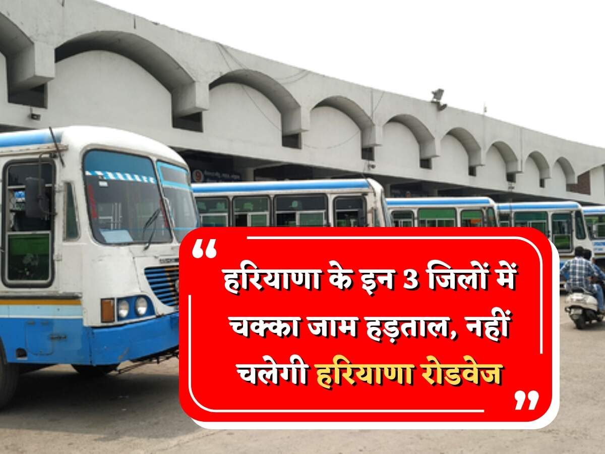 Haryana News: हरियाणा के इन 3 जिलों में चक्का जाम हड़ताल, नहीं चलेगी हरियाणा रोडवेज