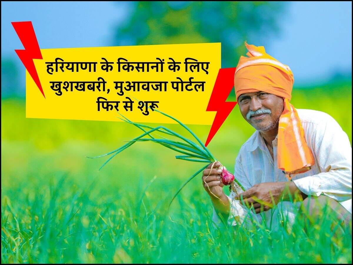 हरियाणा के किसानों के लिए खुशखबरी, मुआवजा पोर्टल फिर से शुरू