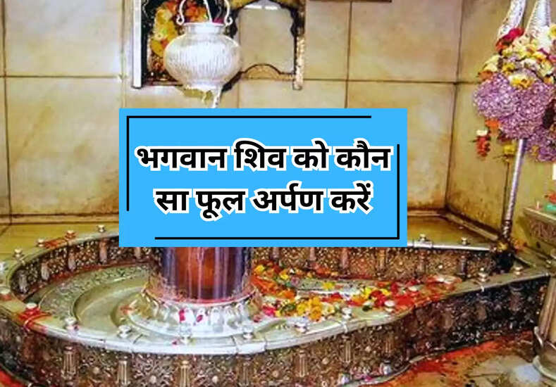 Mahashivratri 2025: महाशिवरात्रि के दिन भगवान शिव को कौन सा फूल अर्पण करें, जानें यह जानकारी