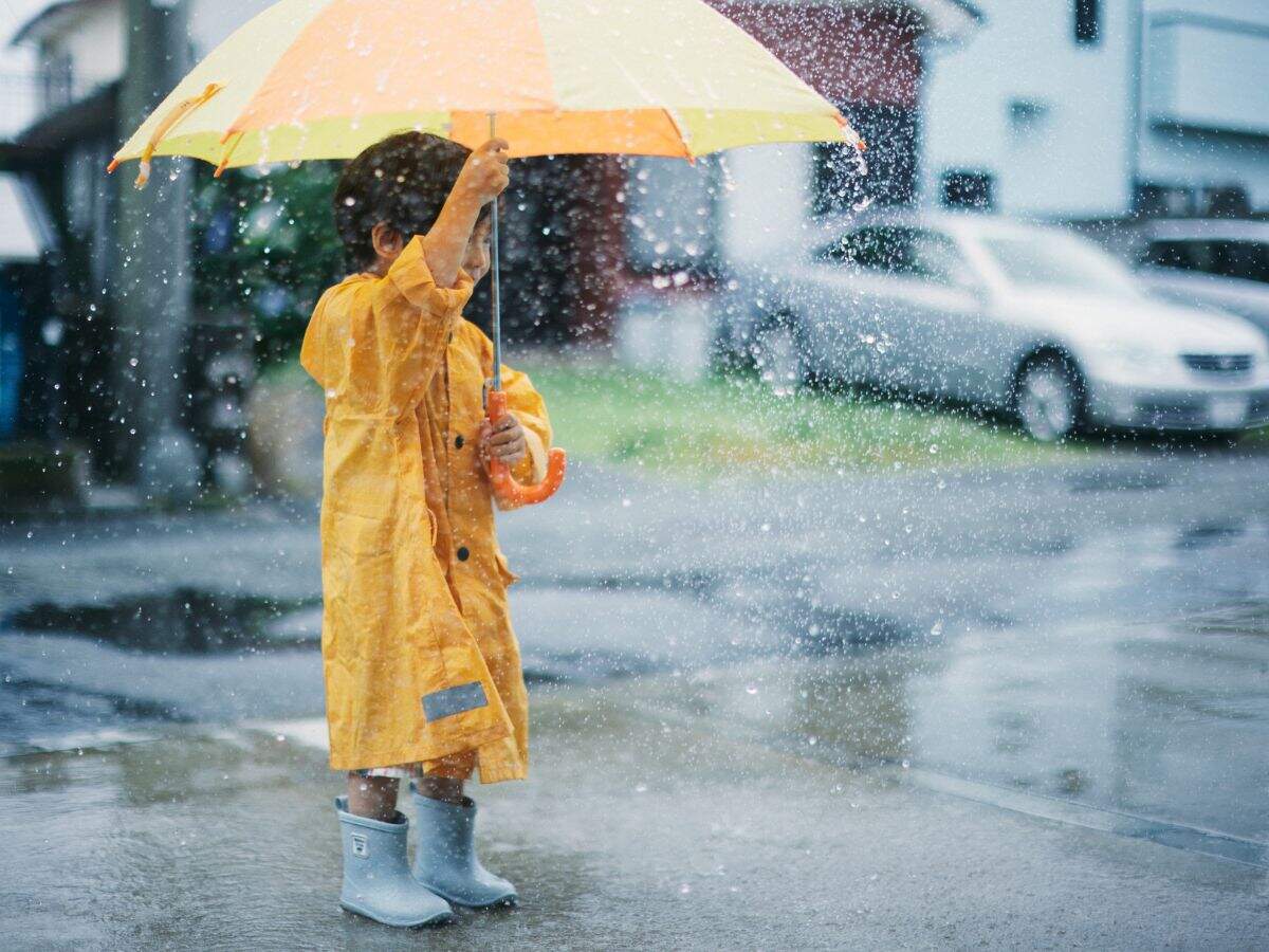 Haryana Weather
