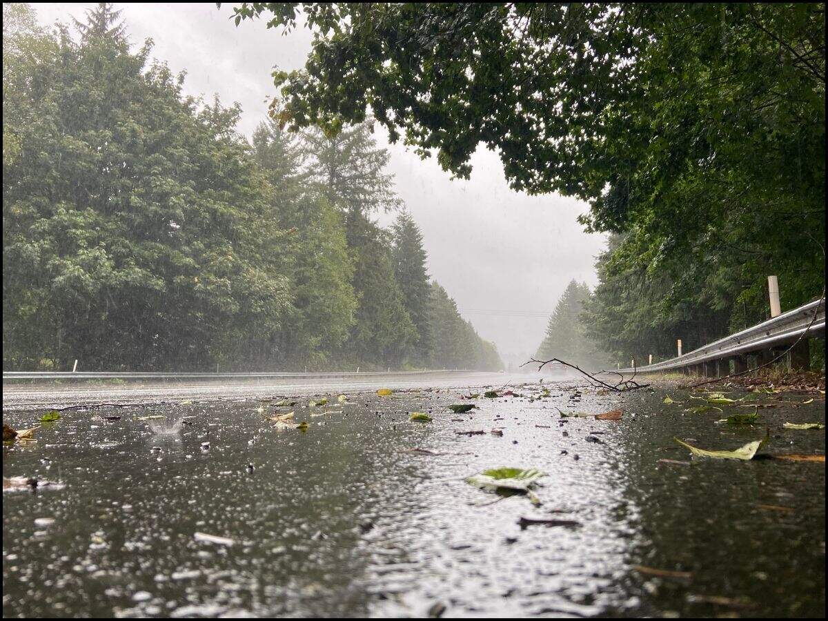 weather