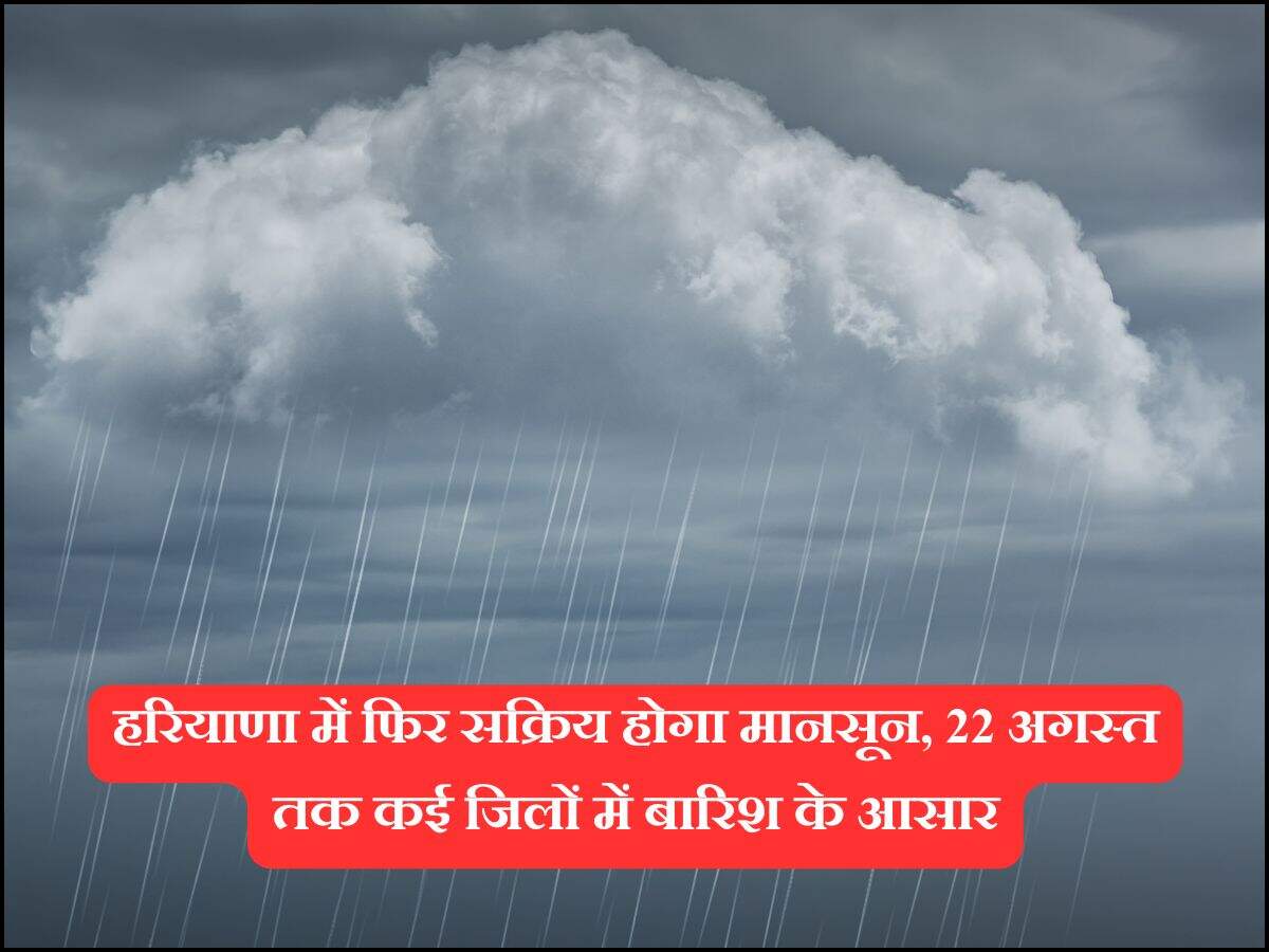 HARYANA WEATHER TODAY 
