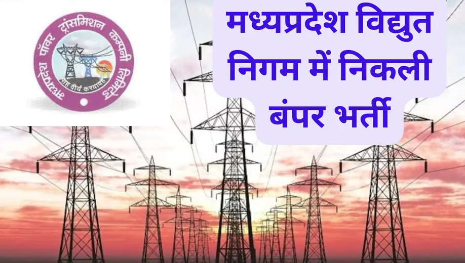 MP Power Department Jobs: विद्युत वितरण कंपनी में निकली बंपर भर्ती आवेदकों को सुनहरा मौका, जल्दी करे आवेदन..