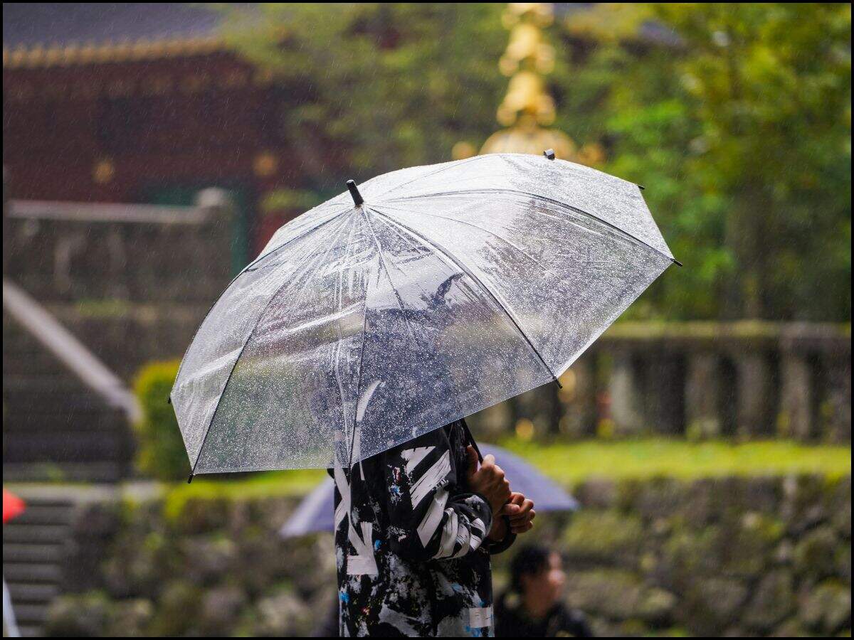 Haryana Weather Update: The Meteorological Department has issued a yellow alert in Haryana, let's know where it will rain...
