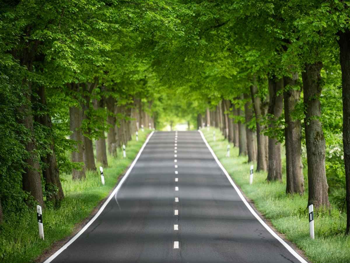 लिंक रोड