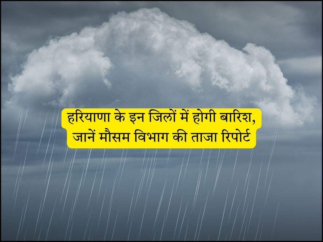 : हरियाणा के इन जिलों में होगी बारिश, जानें मौसम विभाग की ताजा रिपोर्ट
