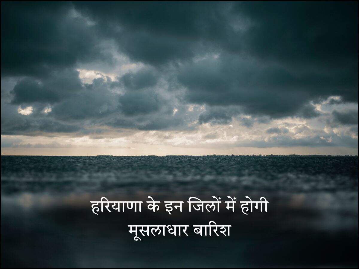 हरियाणा के इन जिलों में होगी मूसलाधार बारिश