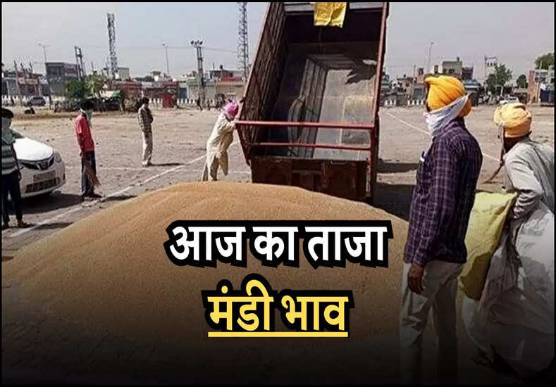 आज का ताजा मंडी भाव
